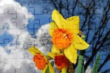 OK jigsaw puzzle