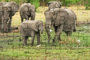 Imagem jigsaw puzzle