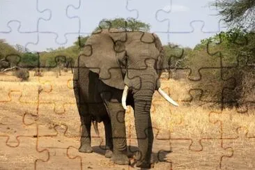 Imagem jigsaw puzzle