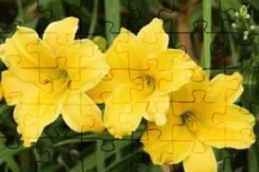 OK jigsaw puzzle
