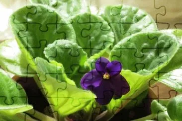 OK jigsaw puzzle