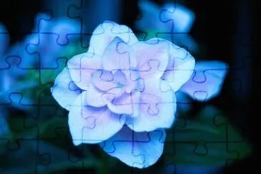 OK jigsaw puzzle