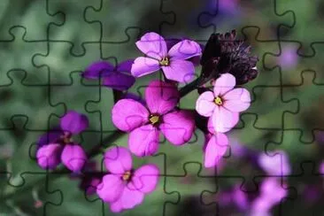 OK jigsaw puzzle