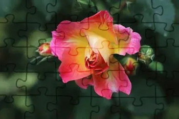 OK jigsaw puzzle