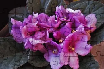 OK jigsaw puzzle