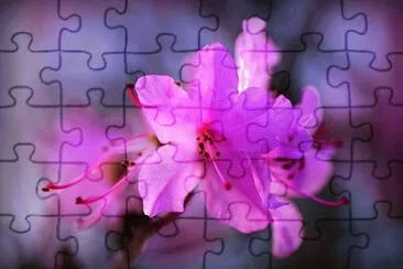 OK jigsaw puzzle