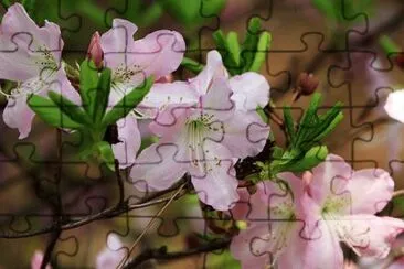 OK jigsaw puzzle