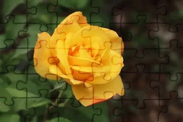 OK jigsaw puzzle