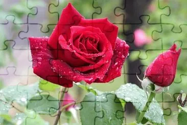 OK jigsaw puzzle