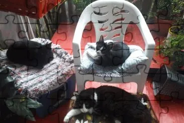 MILO, RUFO E IGOR
