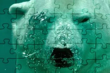 Imagem jigsaw puzzle