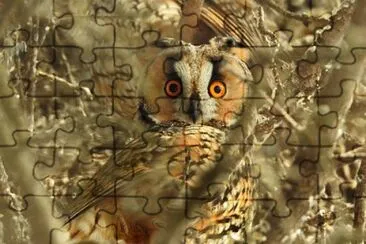 Imagem jigsaw puzzle