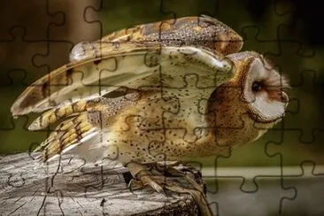 Imagem jigsaw puzzle