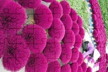 flores jigsaw puzzle