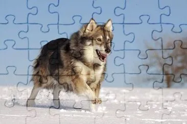 Utonagan jigsaw puzzle