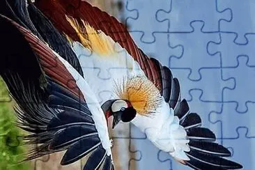 natural jigsaw puzzle