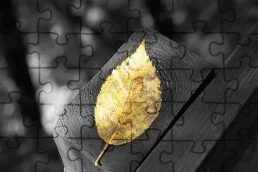 Imagem jigsaw puzzle