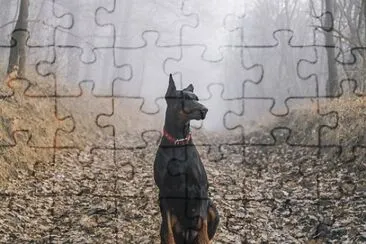 Imagem jigsaw puzzle