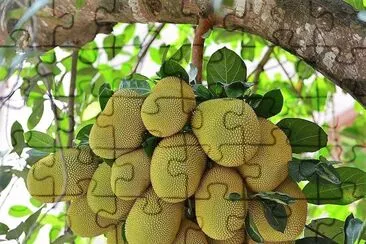 frutas