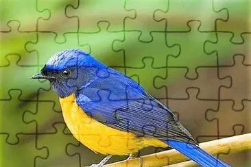 natural jigsaw puzzle