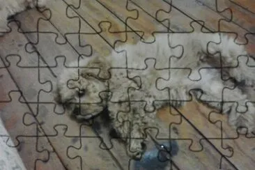 sergio245 jigsaw puzzle