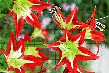 flores jigsaw puzzle