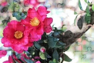 flores jigsaw puzzle