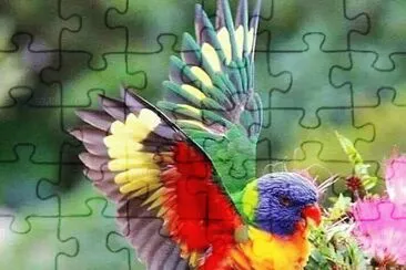 natural jigsaw puzzle