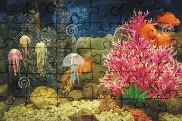 Fish jigsaw puzzle