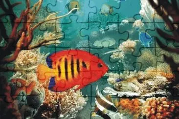 Fish jigsaw puzzle
