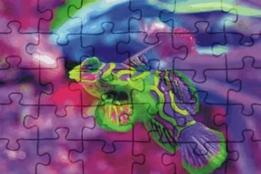 Fish jigsaw puzzle