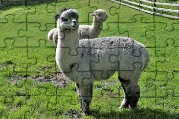 Imagem jigsaw puzzle