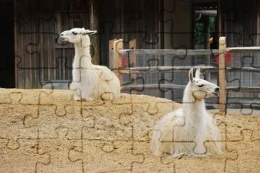 פאזל של Imagem