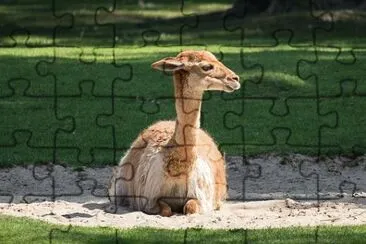 פאזל של Imagem
