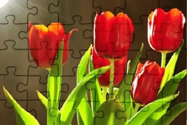 OK jigsaw puzzle