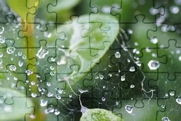 Imagem jigsaw puzzle
