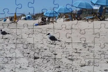 Imagem jigsaw puzzle
