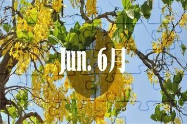 2019.06 jigsaw puzzle