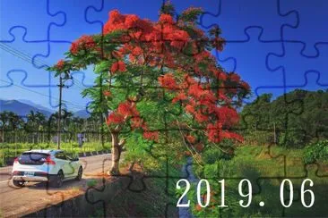 2019.06 jigsaw puzzle