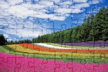 Imagem jigsaw puzzle