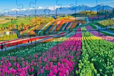 Imagem jigsaw puzzle