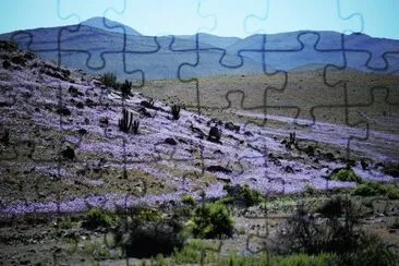 Imagem jigsaw puzzle