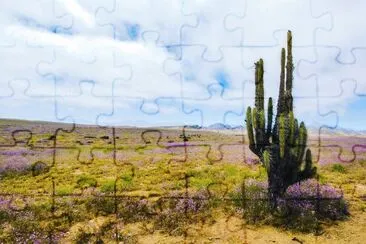 פאזל של Imagem