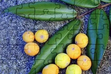 frutas