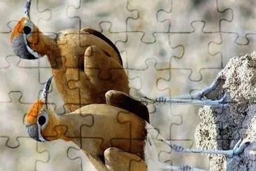 natural jigsaw puzzle