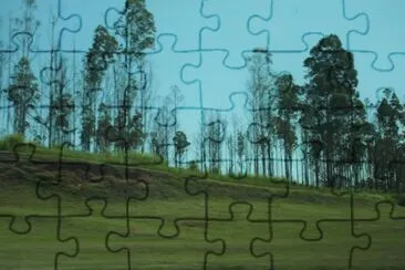 imagem jigsaw puzzle
