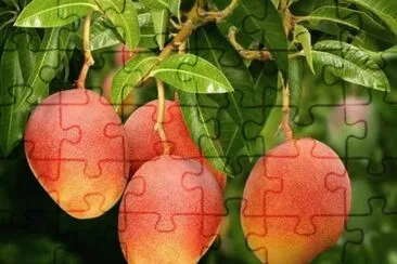 imagem jigsaw puzzle