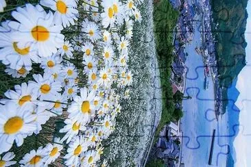 פאזל של flores