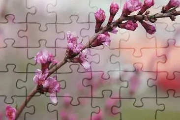 Imagem jigsaw puzzle