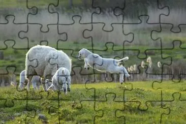 Imagem jigsaw puzzle